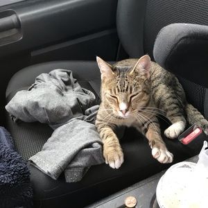 Meet your Posher, Morgan